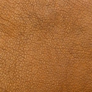 Leather and Textile